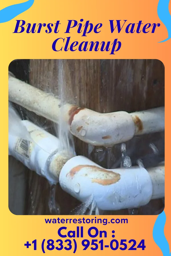 Burst Pipe Water Cleanup in Grand Rapids, MI