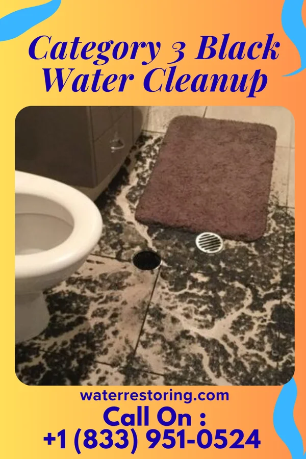 Category 3 Black Water Cleanup in Grand Rapids, MI