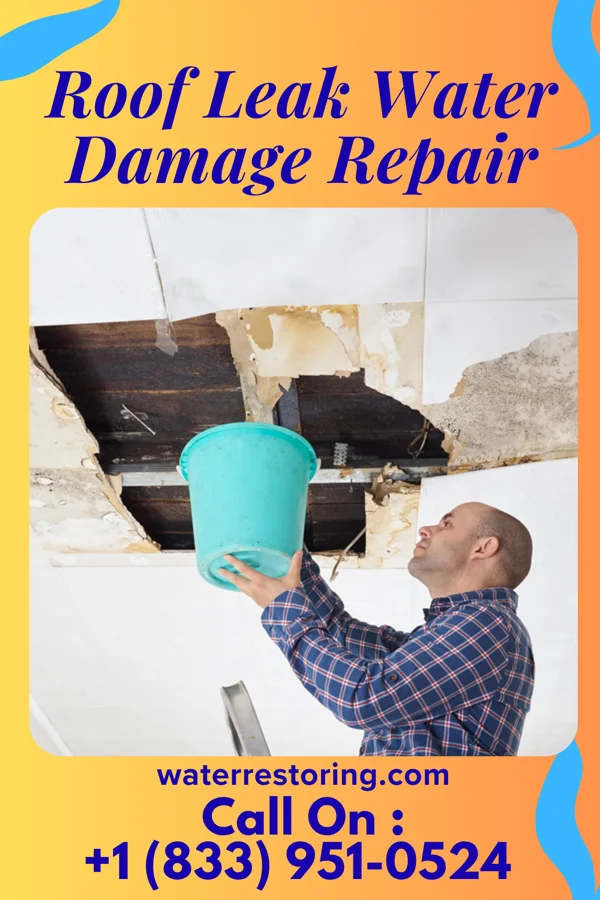 Roof Leak Water Damage Repair in Grand Rapids, MI