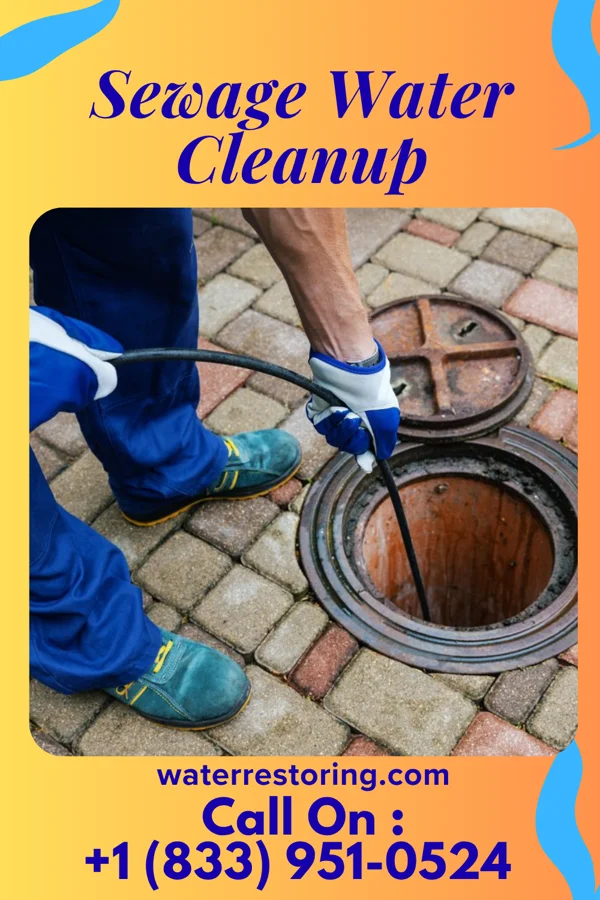 Sewage Water Cleanup in Grand Rapids, MI